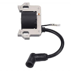 GCV160 Ignition Coil Module for Honda GCV135 GCV160 GCV190 GSV160 GSV190 GC135 GC160 GC190 Engines HRB216 HRB217 HRR216 HRS216 HRT216 Lawnmower HS520 HS720 Snowblower EN2500 Generator