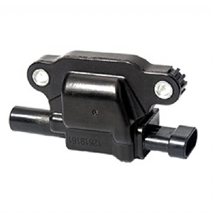 Compatible With 12611424 Ignition Coil Pack for Cadillac Chevy GMC Pontiac 5.3L 6.0L V8 Engine G8 Grand Prix H3 Tahoe Yukon Silverado Impala 12570616 12619161 8125706160 33-1192(1 pack)
